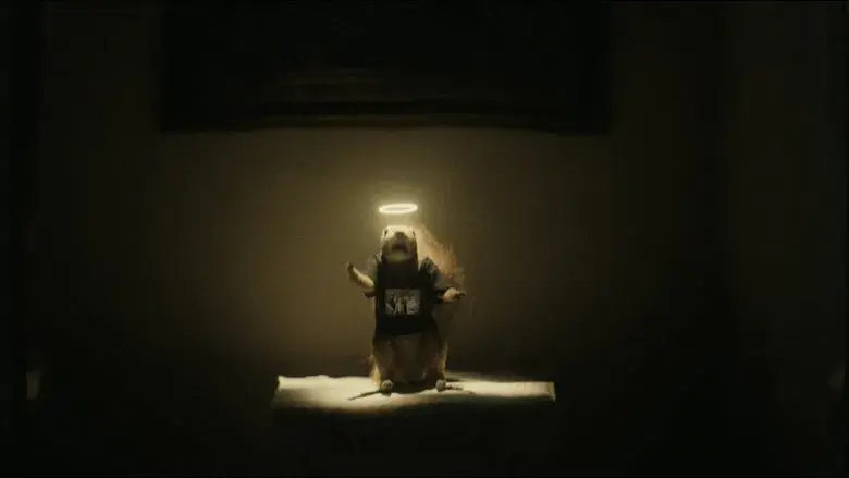 Dìdi (弟弟) - Fondo