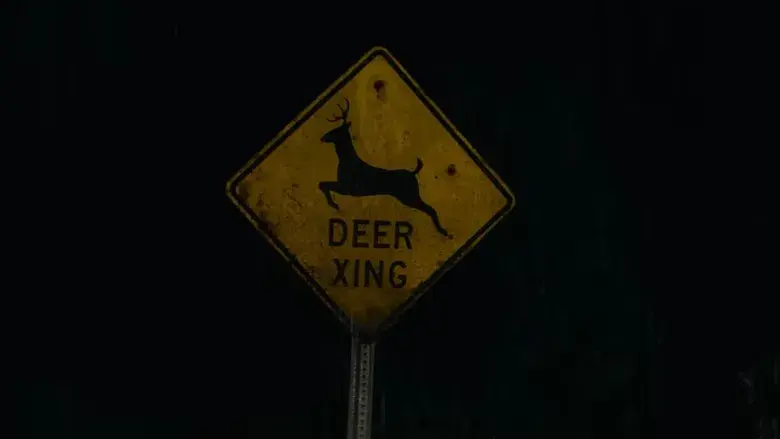 Jurado Nº 2 - Fondo