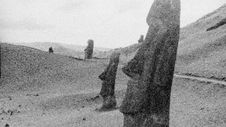 Time of Plenty - Fondo