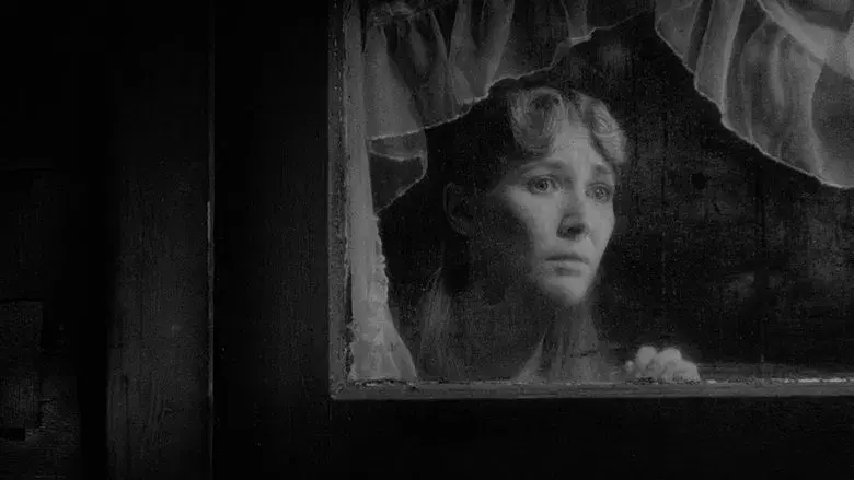 Cabeza borradora - Fondo