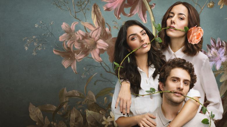 La casa de las flores - Fondo