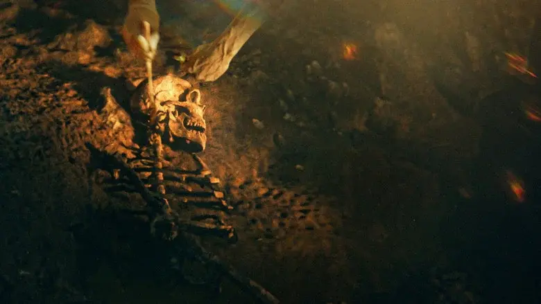 Secretos de los neandertales - Fondo