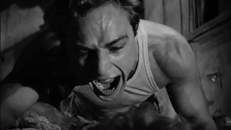 Un tranvía llamado deseo - Fondo