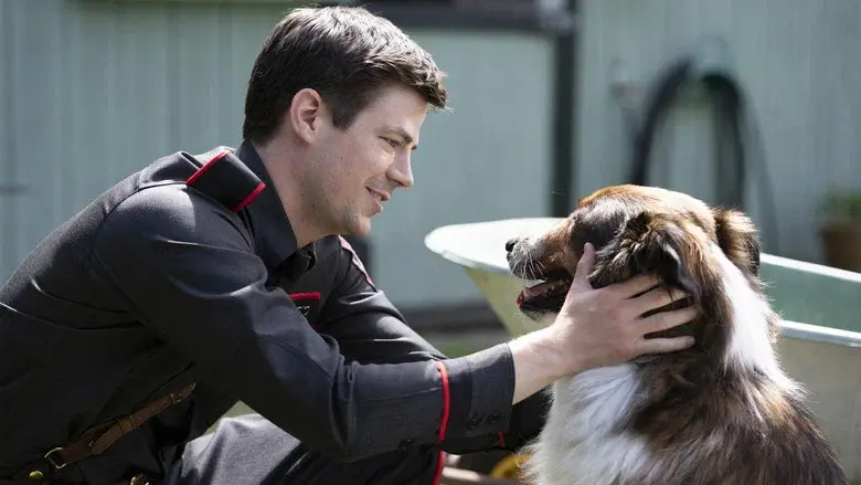 El rescate de Ruby - Fondo