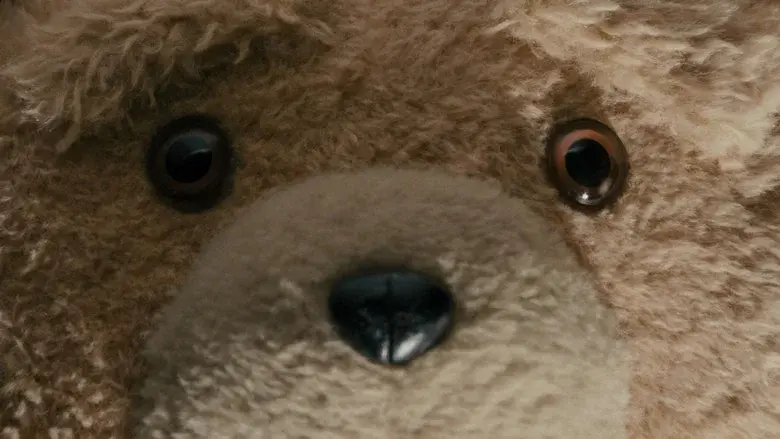 Ted - Fondo