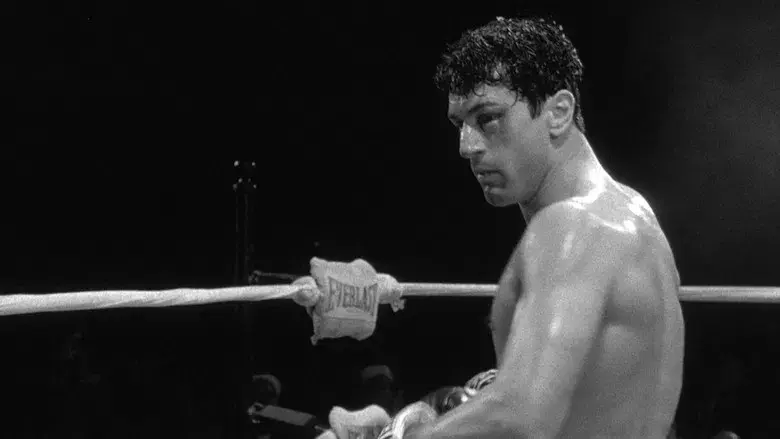 Toro salvaje - Fondo