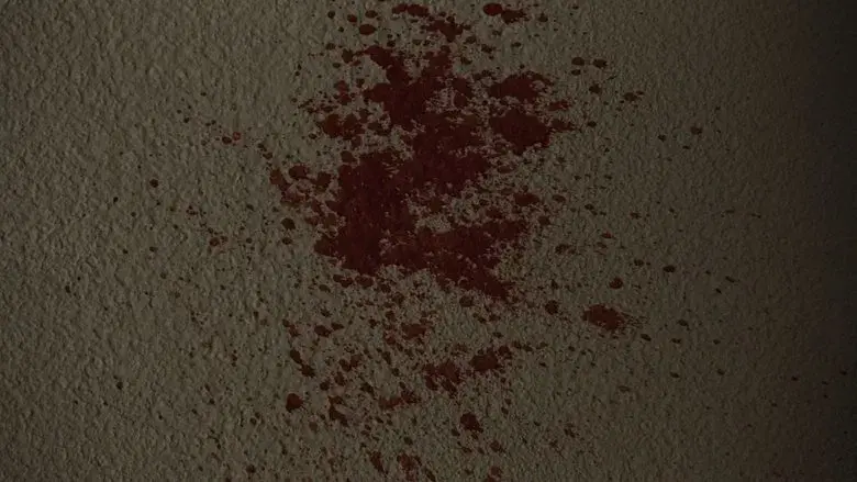 El irlandés - Fondo