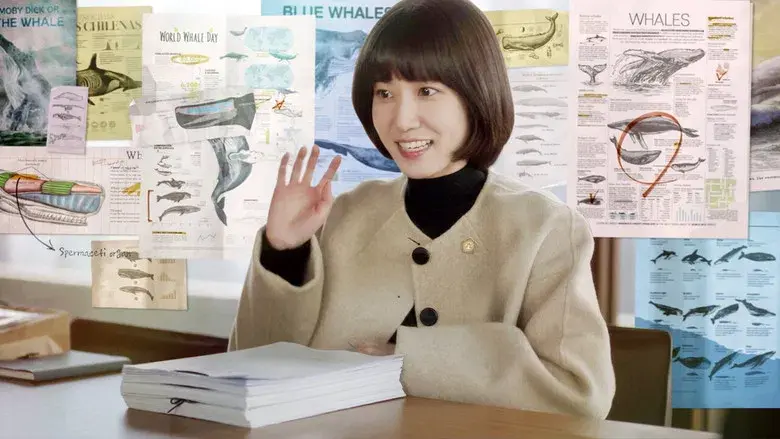 Woo, abogada extraordinaria - Fondo