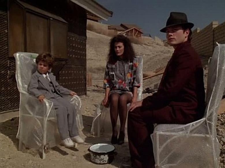 Vecinos muy interesantes