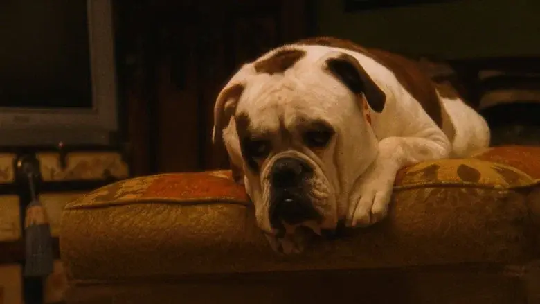 Salvando a Grace - Fondo