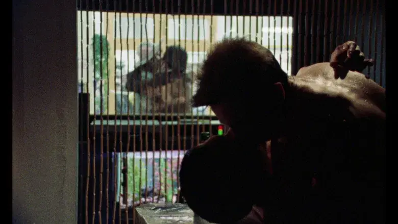 Mi hermosa lavandería - Fondo