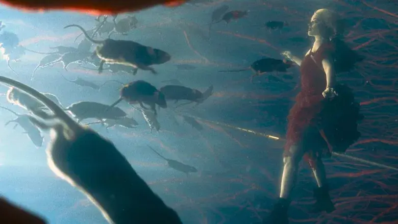 El escuadrón suicida - Fondo