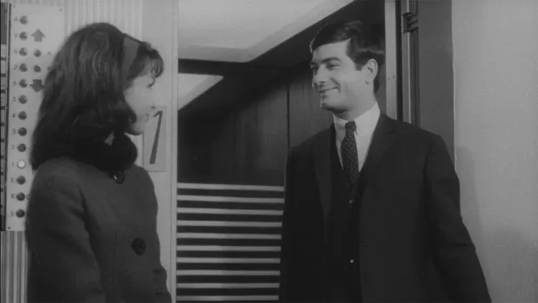 Carambolages - Fondo