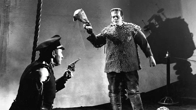 La sombra de Frankenstein - Fondo