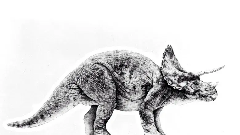 Jurassic Park (Parque Jurásico) - Fondo