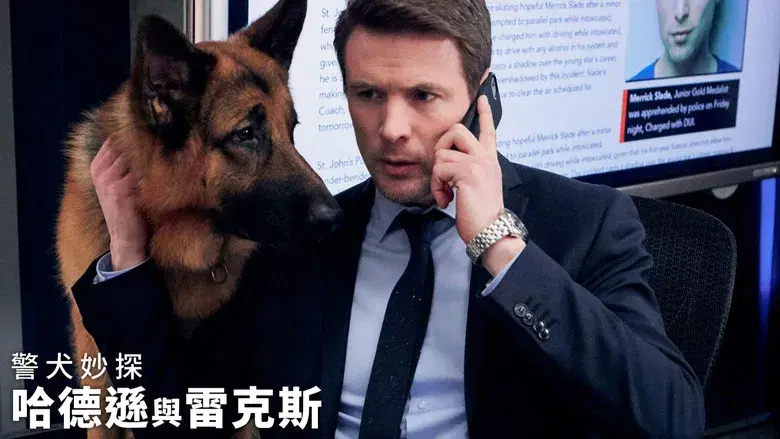 Hudson & Rex - Fondo