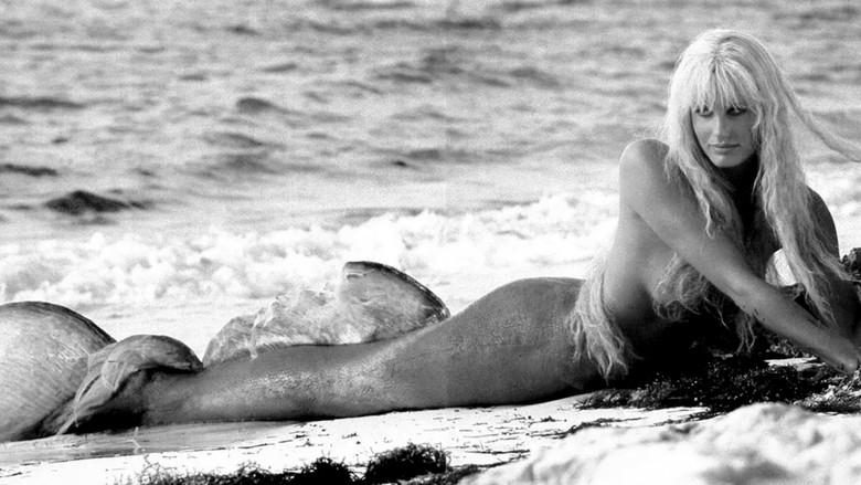 1, 2, 3... Splash - Fondo