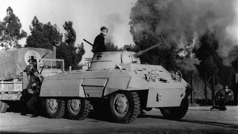 Ilsa, la loba de las SS - Fondo