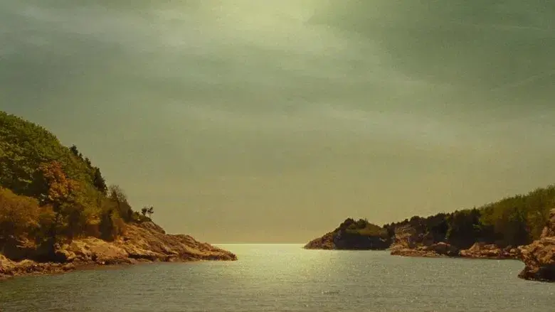 Moonrise Kingdom - Fondo