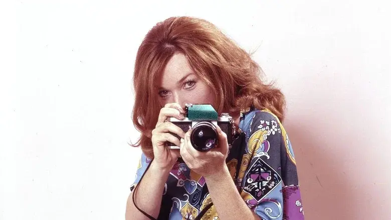 Shirley's World - Fondo