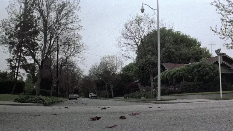 La noche de Halloween - Fondo