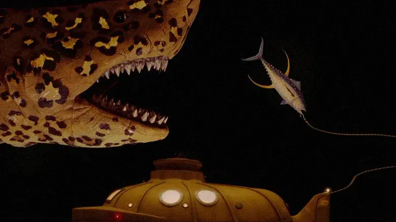 Life Aquatic - Fondo