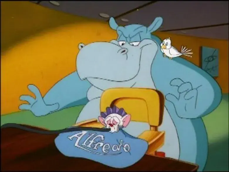 Los primeros pasos de pie pequeño