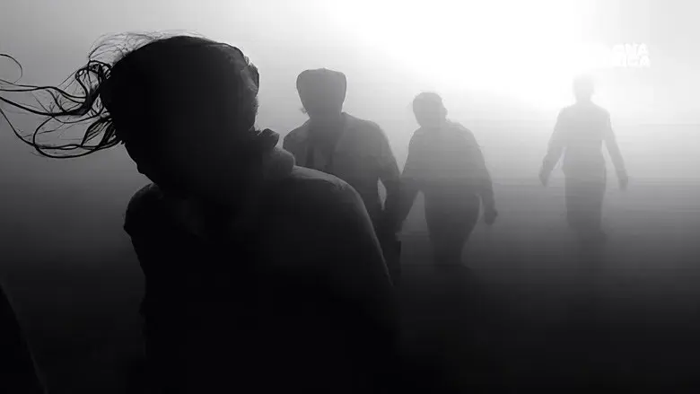 Green Border - Fondo