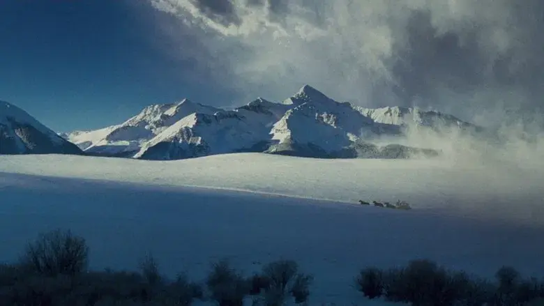 Los odiosos ocho - Fondo