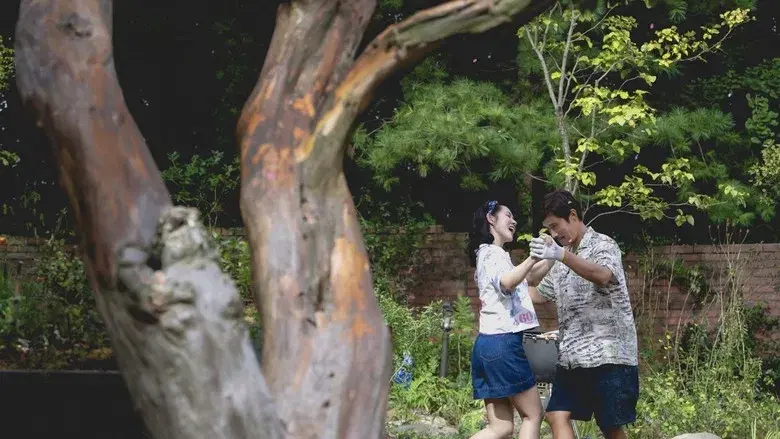 No hay otra opción - Fondo