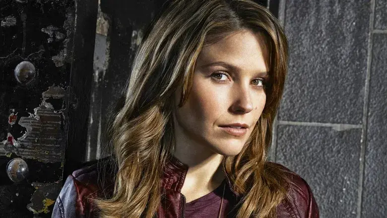 Chicago P.D. - Fondo