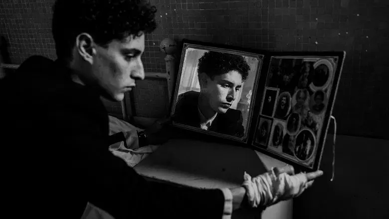 L'orto americano - Fondo