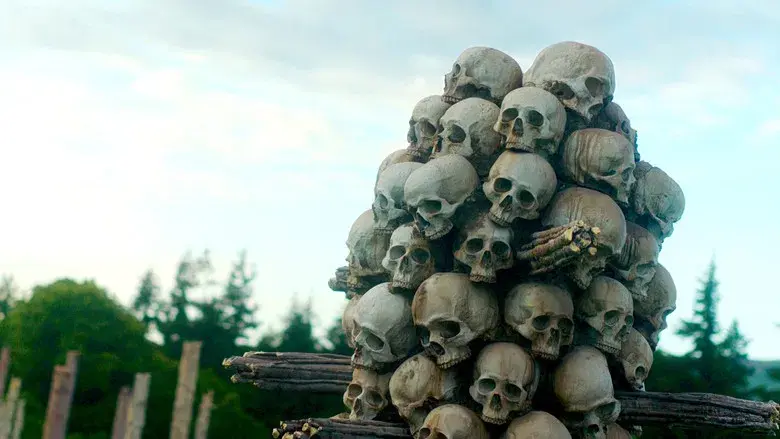 28 años después - Fondo