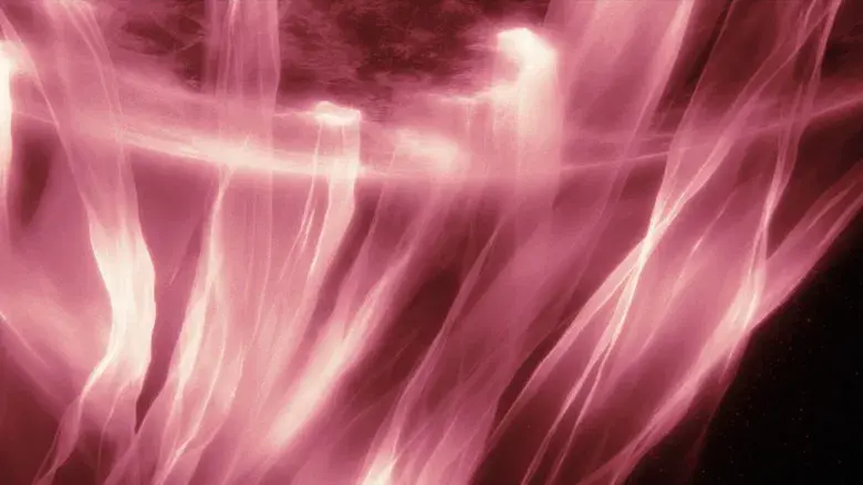 Proyecto salvación - Fondo