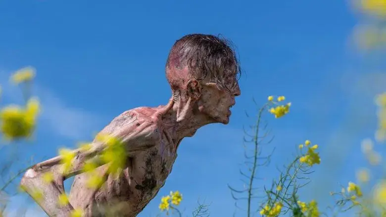 28 años después - Fondo