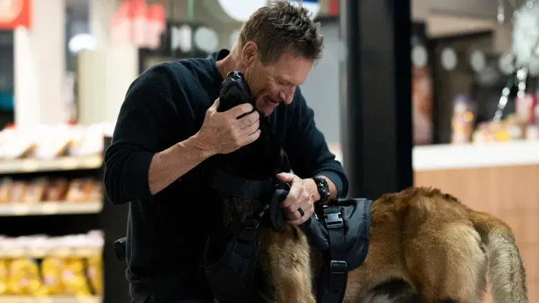 En busca de venganza 2: Ciudad de los lobos - Fondo