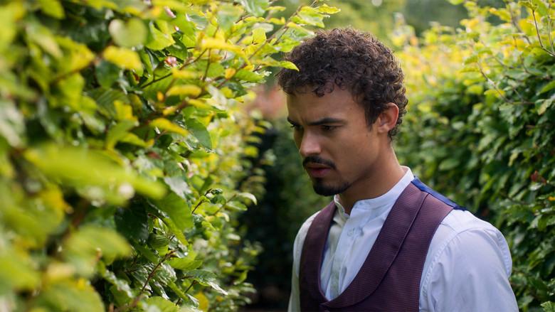 La Traición Fallida