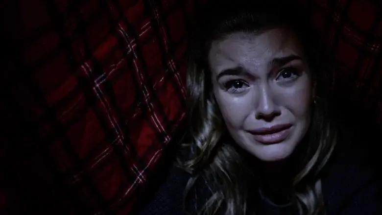 Grizzly Night - Fondo