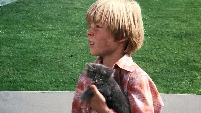 Para Matar Un Ángel