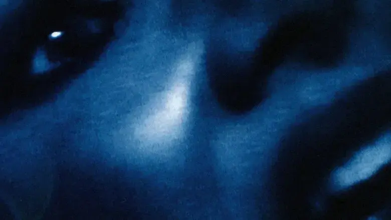 Inland Empire - Fondo