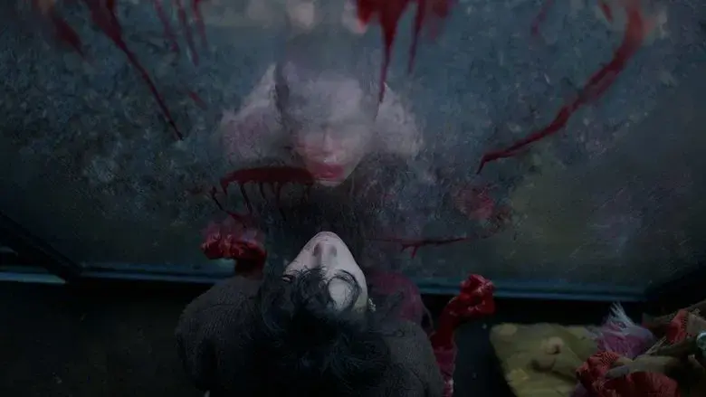 Devuélvemela - Fondo