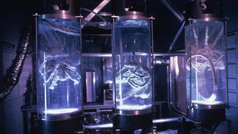 Aliens: El regreso - Fondo