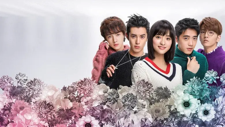 Jardín de meteoros (Meteor Garden) - Fondo