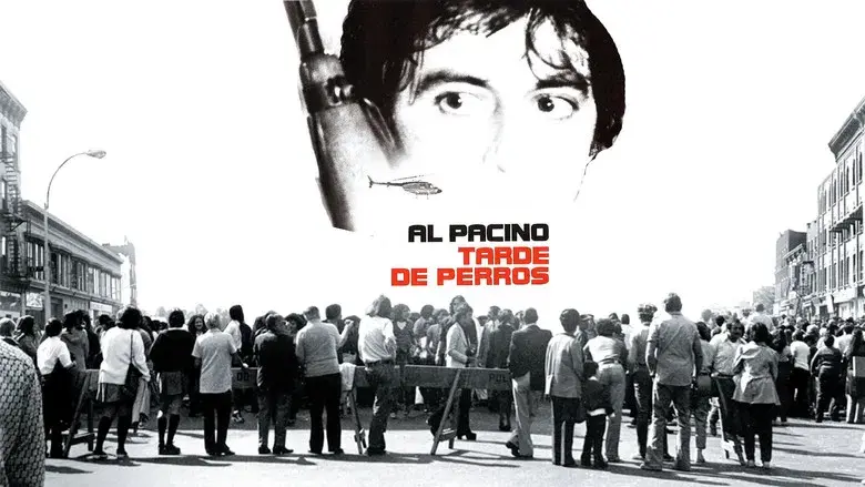 Tarde de perros - Fondo