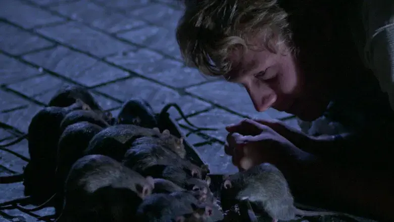 La revolución de las ratas - Fondo