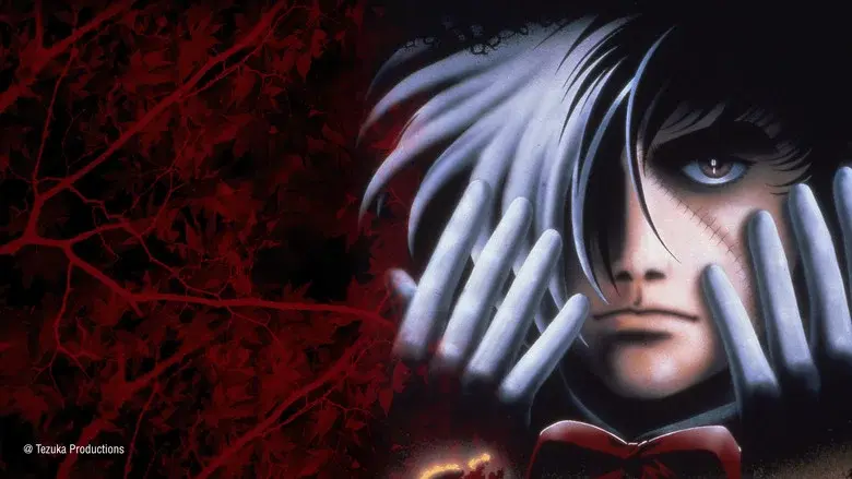 Black Jack: El síndrome de Moira - Fondo