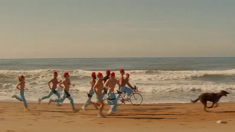 Life Aquatic - Fondo