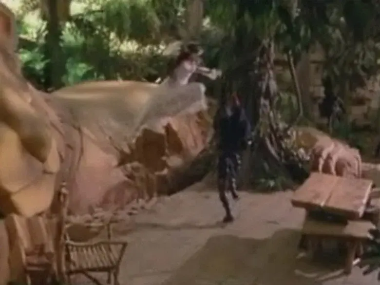 El heraldo del Maestro (1ª parte)