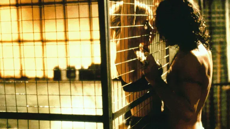 Nunca hables con extraños - Fondo