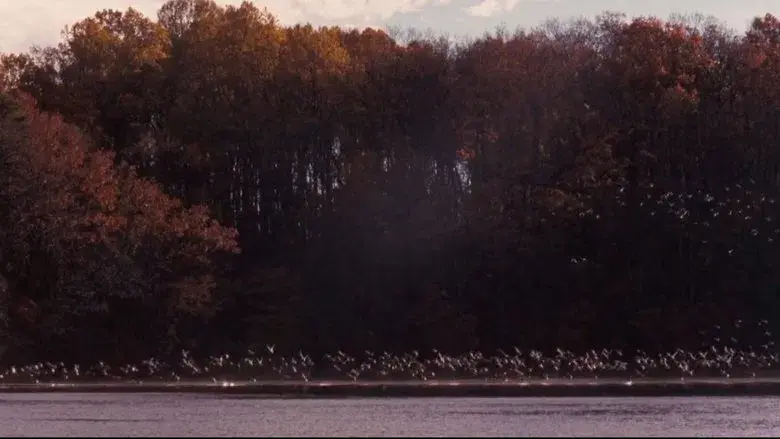 El club de los poetas muertos - Fondo